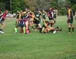 lvc08.jpg